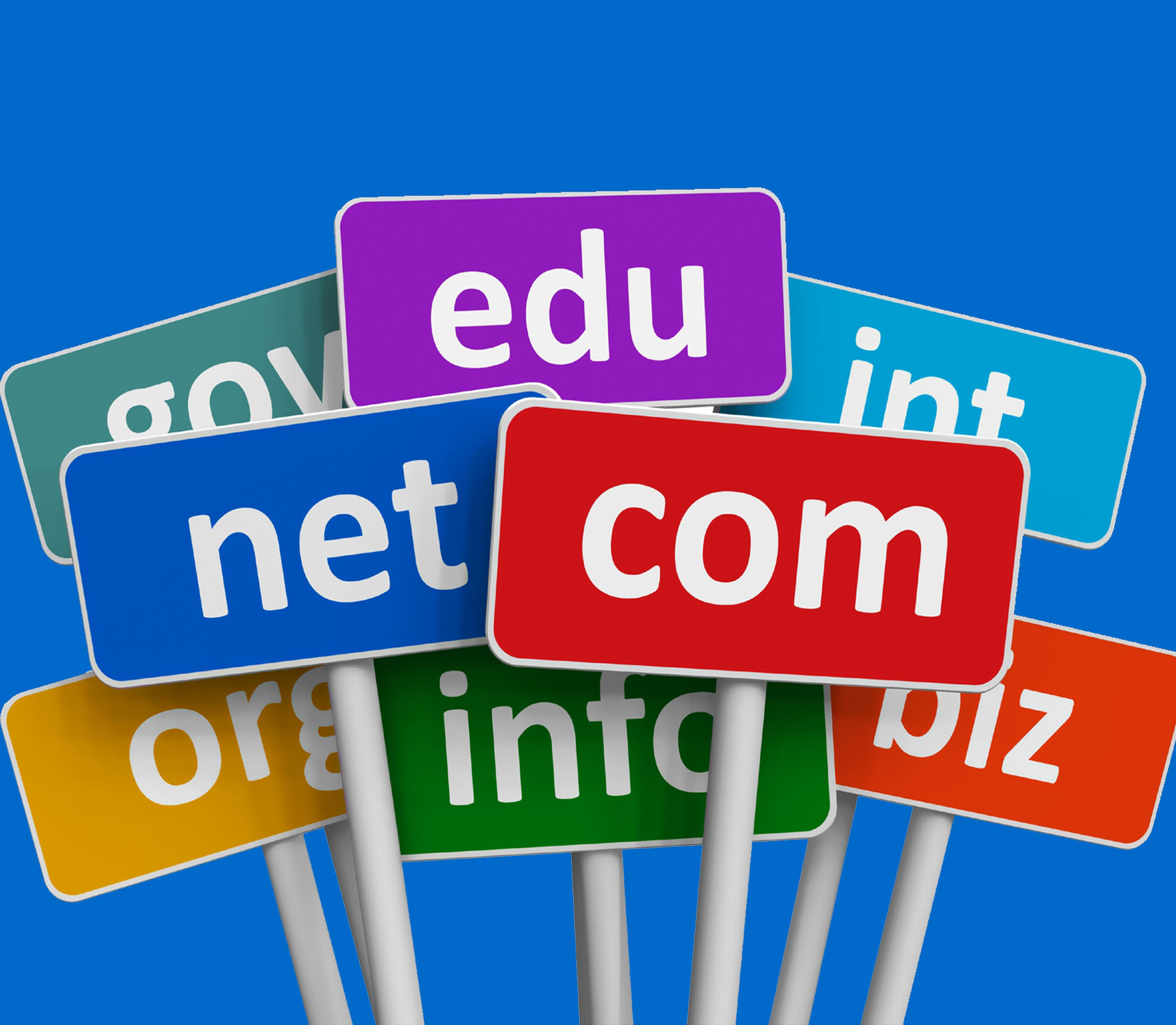 Domain Registration